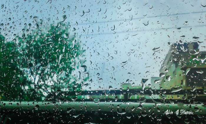 Rainy day view through a window