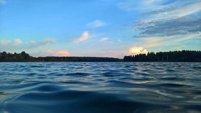 Water surface and forest landscape at sunset