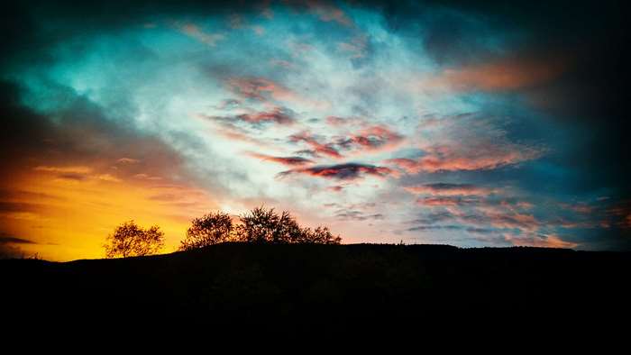 Silhouette of trees against a colorful sunset sky