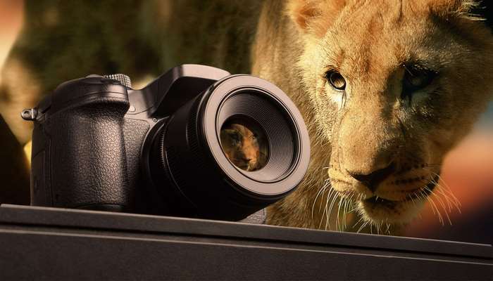 Lion reflected in camera lens with blurred lion background