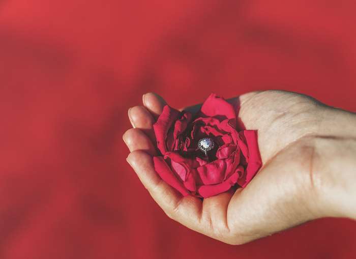 Diamond engagement ring in a red rose held in a hand