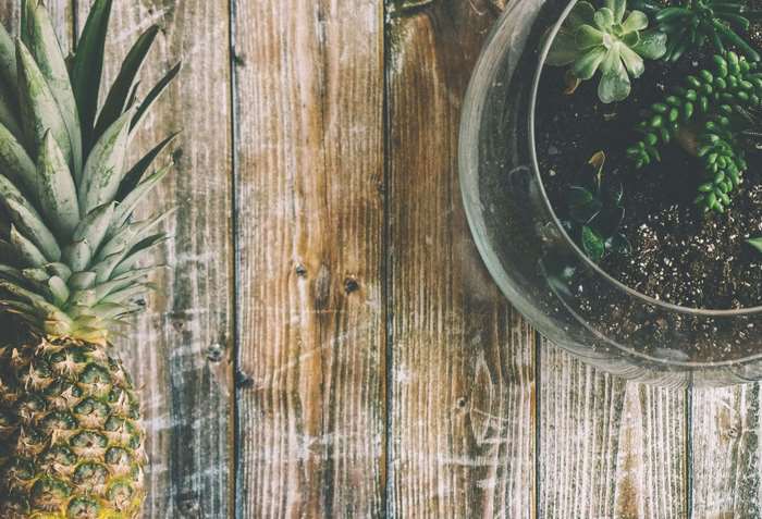 Pineapple and succulent terrarium on wooden table