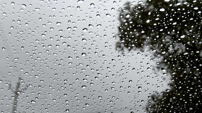Raindrops on a window with trees and electricity poles