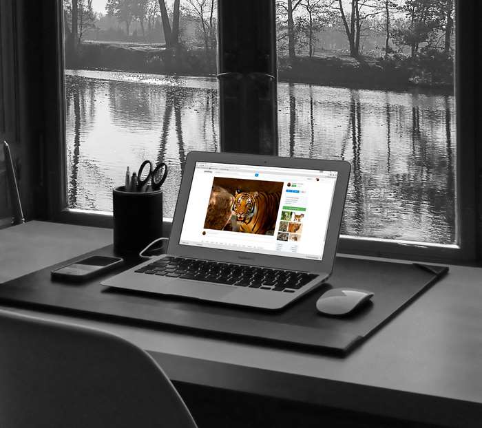 Laptop on a desk with a view of a lake