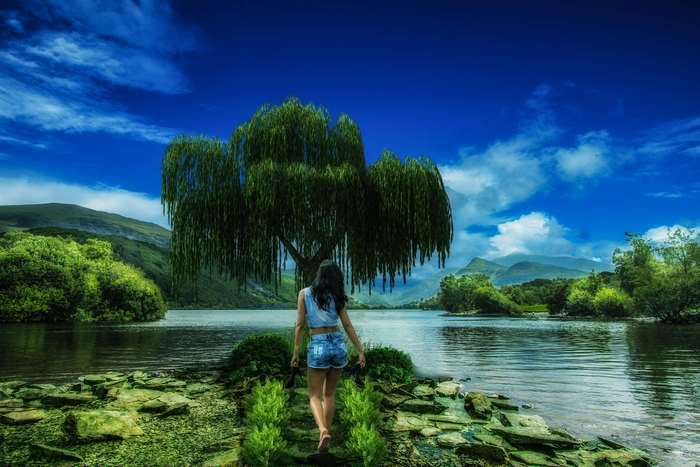 Girl walking towards a weeping willow tree by a lake
