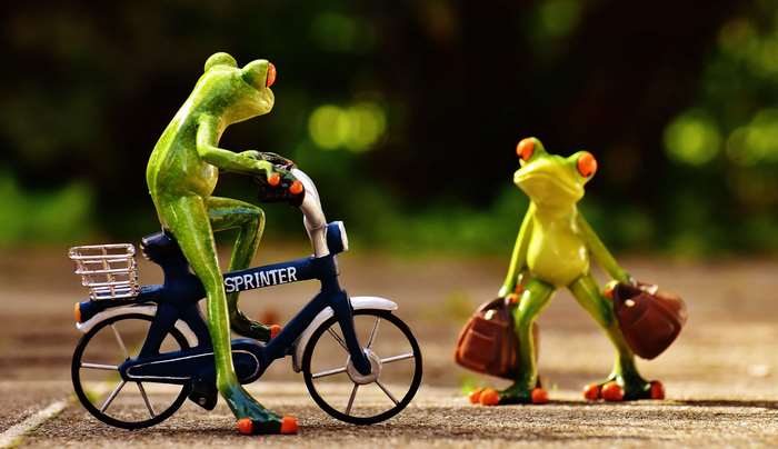 Two frogs, one on a bicycle, one with luggage