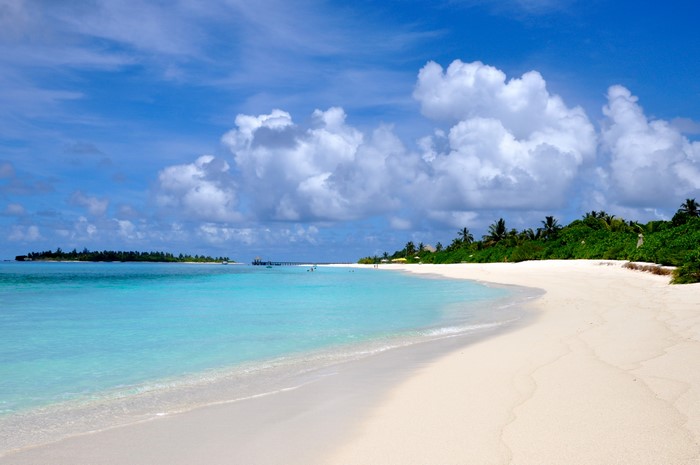 Tropical Beach with Turquoise Water and Palm Trees