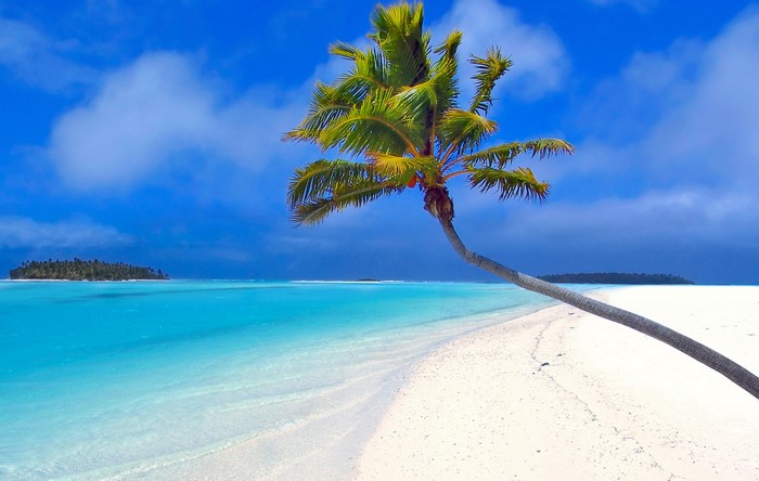 Maldives Serene Beach with Palm Trees and Clear Sea