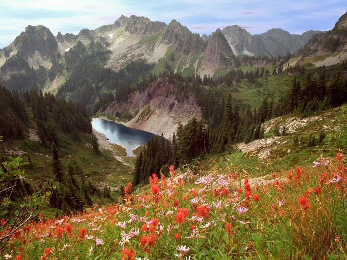 Mountain lake with wildflowers in Idaho