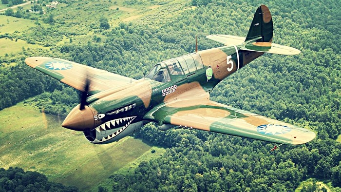 Curtiss P-40 Warhawk flying over forest