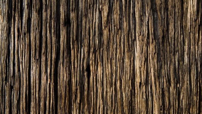 Close-up of weathered wood texture