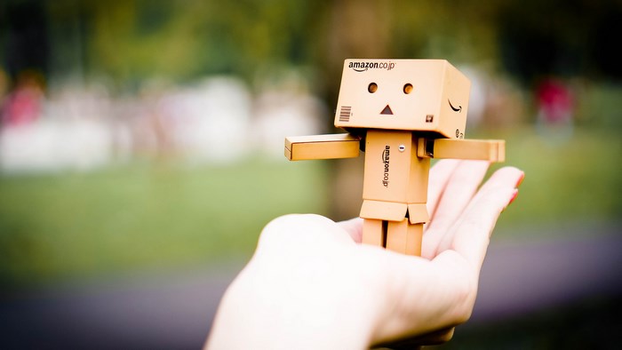 Amazon Danbo figure held in a hand