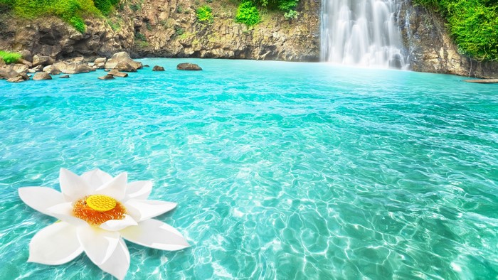 Serene Waterfall and Lotus Flower on Clear Water