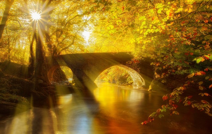 Sunlight streams through autumn trees over a stone bridge and river