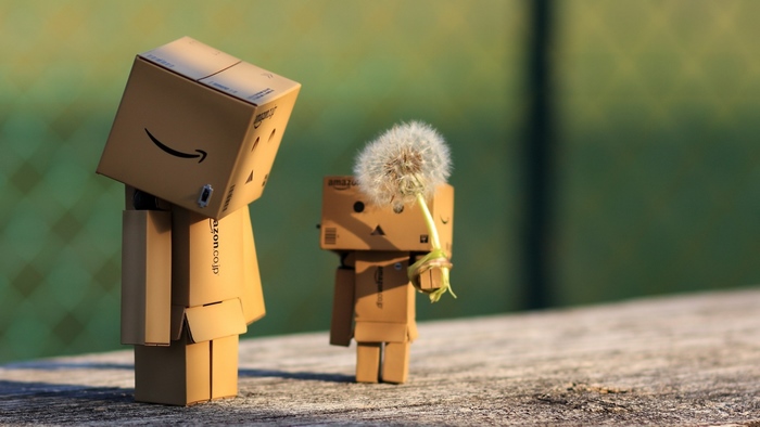 Danbo robots with a dandelion
