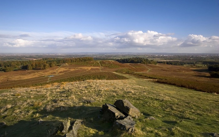Rolling hills with scattered trees and distant city skyline