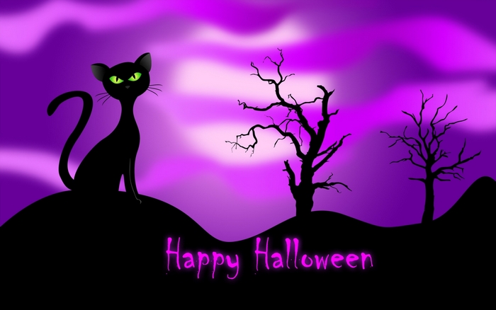 Black Cat Silhouette on Purple Halloween Night