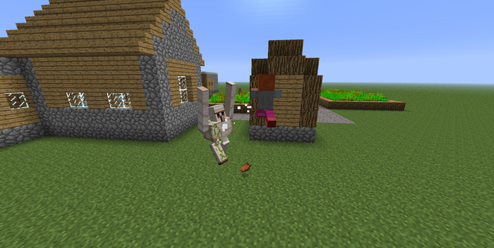 Minecraft Iron Golem and Villager near house