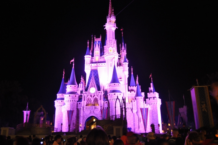 Cinderella Castle at Night