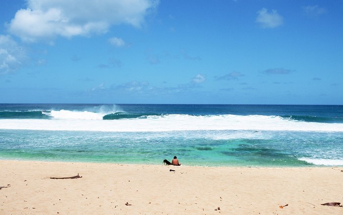 Person and dog on a sandy beach with ocean waves