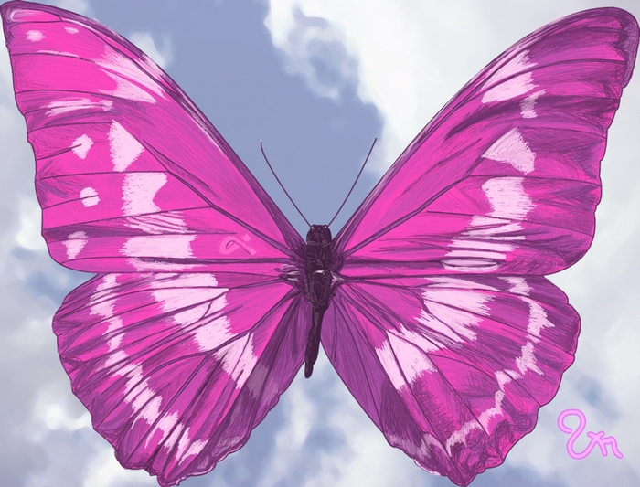 Pink butterfly with white patterns on blue sky background