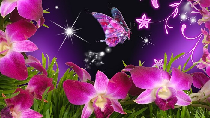 Butterfly and Orchids on Purple Background