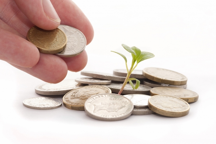 Hand adding coins to pile with growing plant