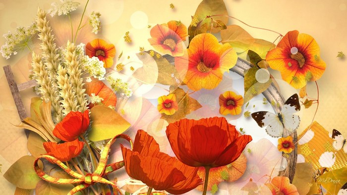 Autumn floral arrangement with poppies and butterflies