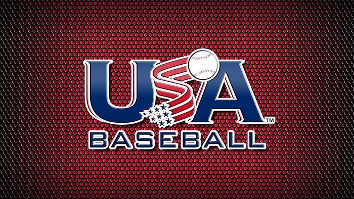 USA Baseball Logo with Baseball and Stars