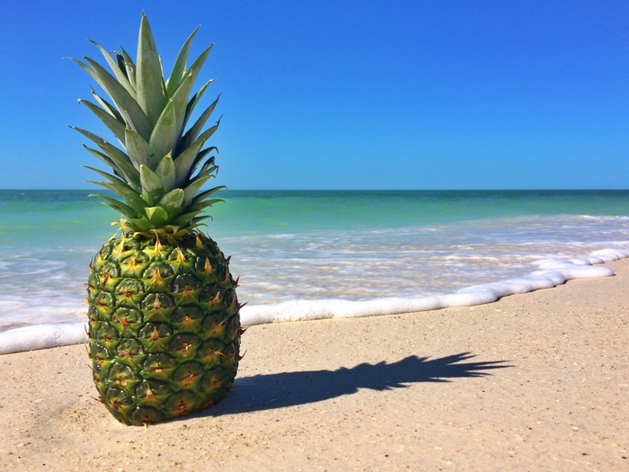 Pineapple on a beach with ocean background