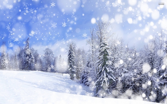 Snowy forest with falling snowflakes