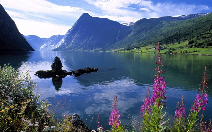 Mountain lake landscape with flowers