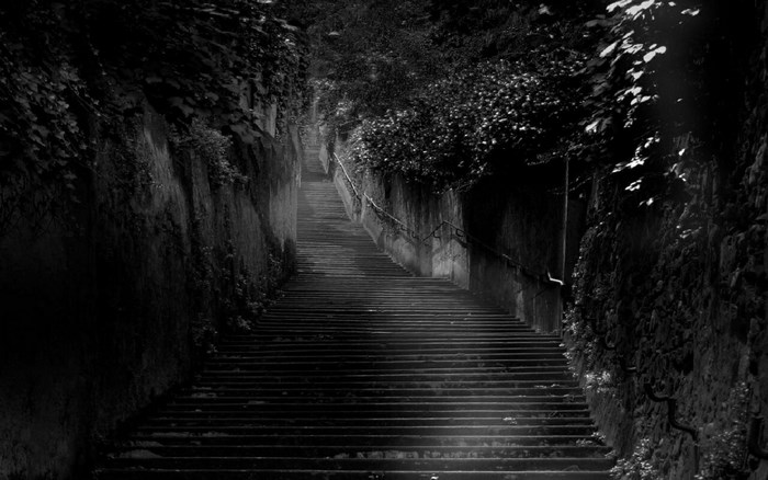 Dark stone staircase surrounded by foliage