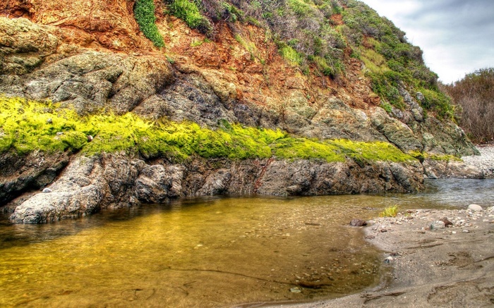Rocky cliff face with green moss and a stream