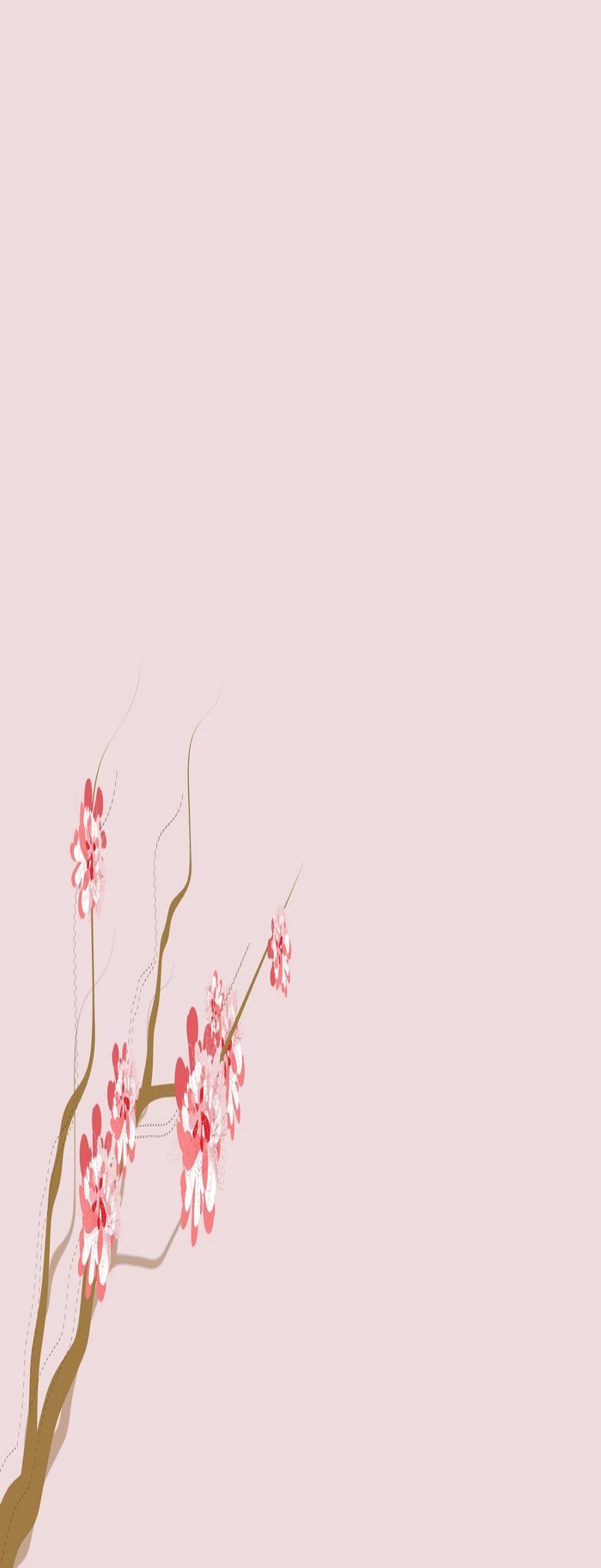 Cherry blossom branch on pink background