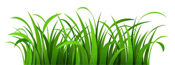 Green grass illustration