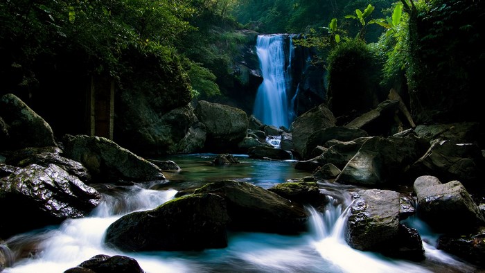 Waterfall in a lush green forest with rocks