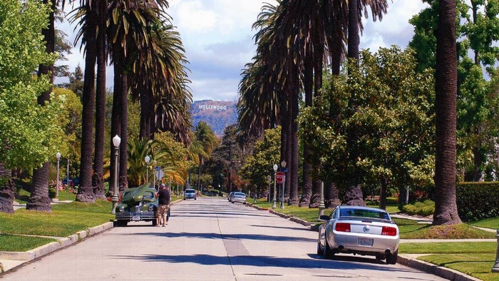 Hollywood Sign and Palm Tree Lined Street in Los Angeles