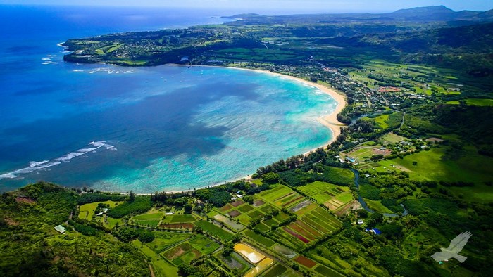 Aerial view of Kauai coastline and agricultural fields