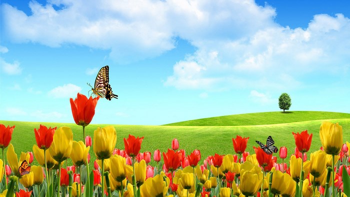 Field of Tulips with Butterflies and a Tree