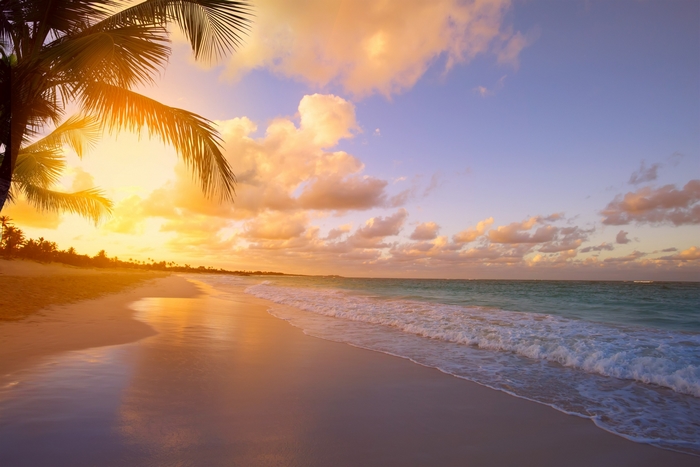 Tropical beach at sunset with palm trees