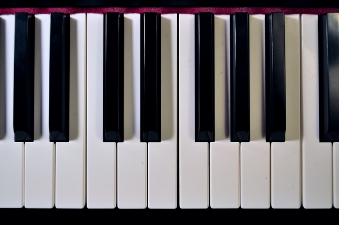 Close-up of piano keys