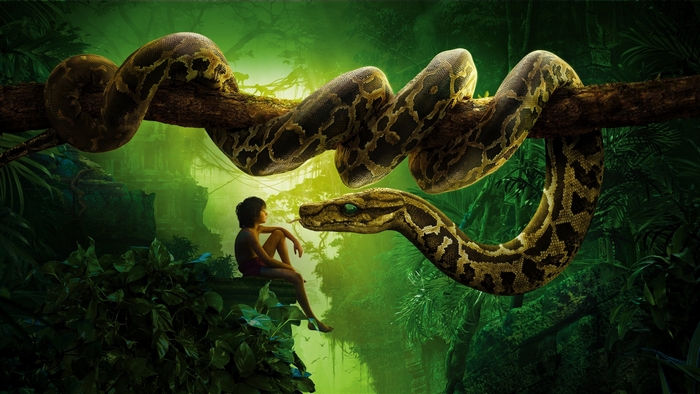 Mowgli and Kaa in the Jungle
