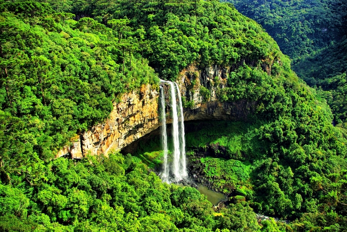 Waterfall in a lush green jungle