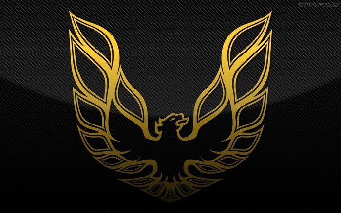 Golden Phoenix Emblem on Carbon Fiber Background