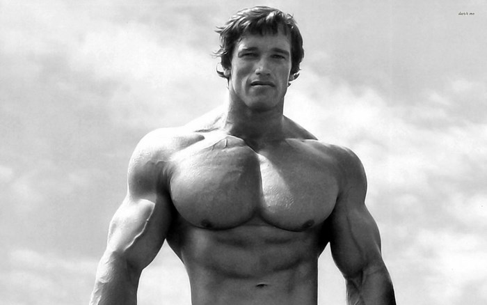 Arnold Schwarzenegger bodybuilding portrait
