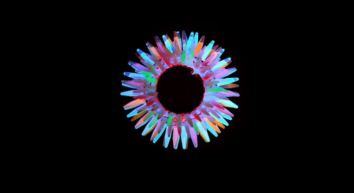 Abstract colorful light ring on black background