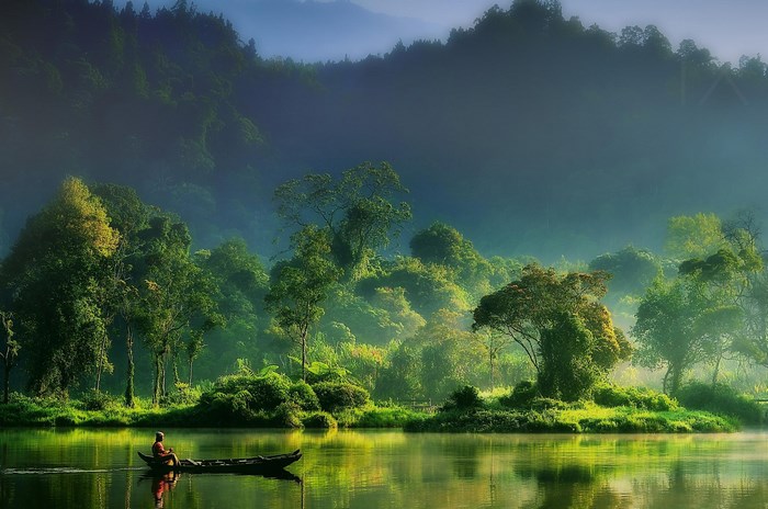 Serene Lake with Fisherman and Lush Green Forest