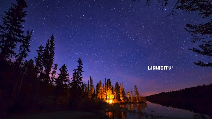 Liquicity logo over a starry night sky and forest