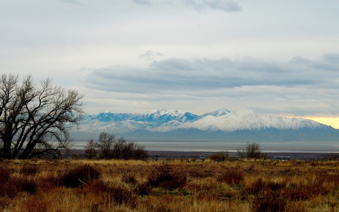 Snow-capped mountains and dry grass field